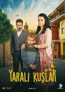 Посмотреть Раненые птицы (2019) онлайн Смотреть сериал Раненые птицы (2019) бесплатно все серии