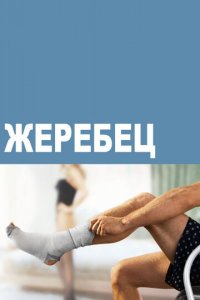 Посмотреть Жеребец (2009) онлайн Смотреть сериал Жеребец (2009) бесплатно все серии